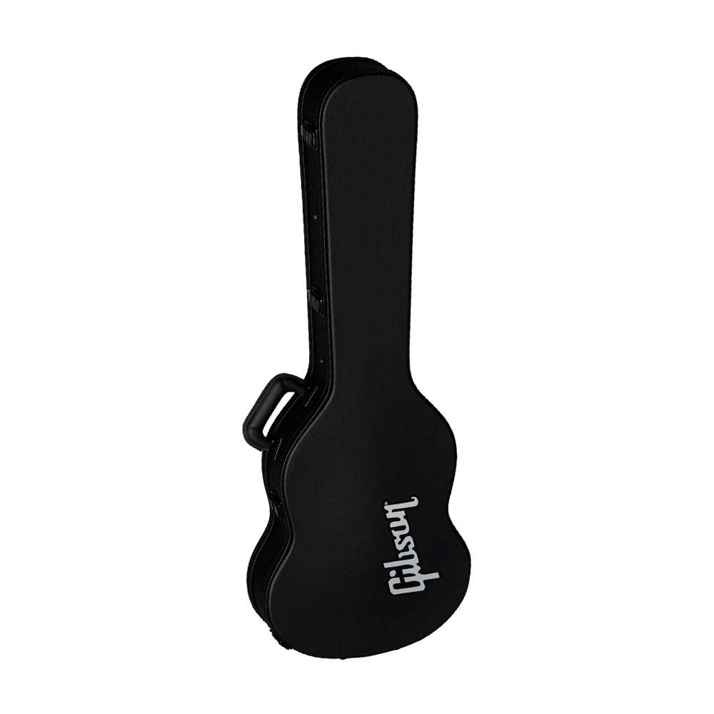 ASSGCASE-MDR-1
