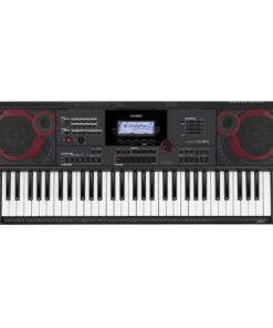 Órgano Electrónico CASIO - CT-X5000C2
