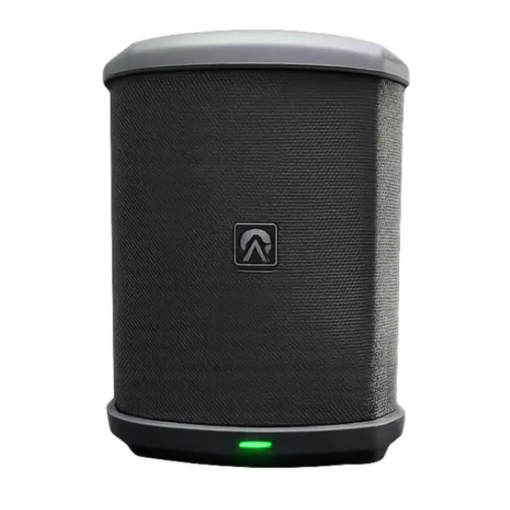 Custom Audio System MX-E Parlante Amplificado Portátil a Batería con Bluetooth