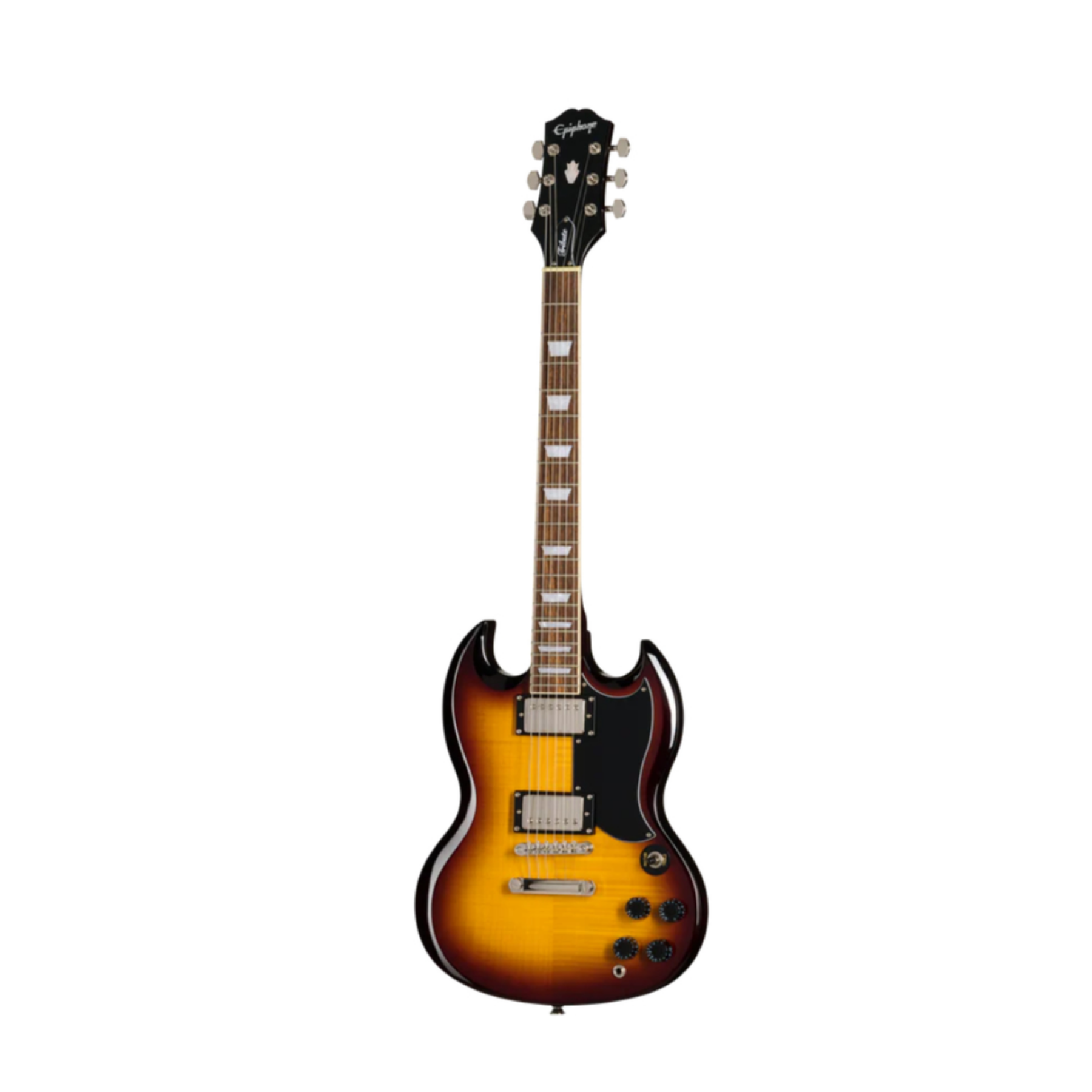 E1SGTPVSNH1 epiphone