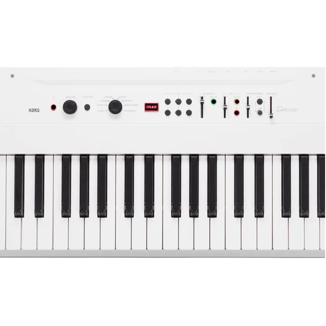 L1 LIVE korg (1)