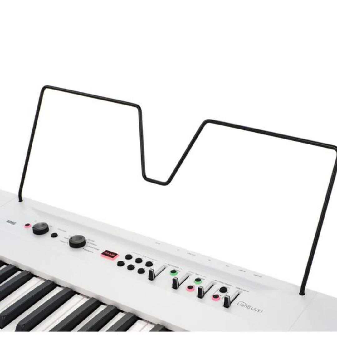 L1 LIVE korg (2)