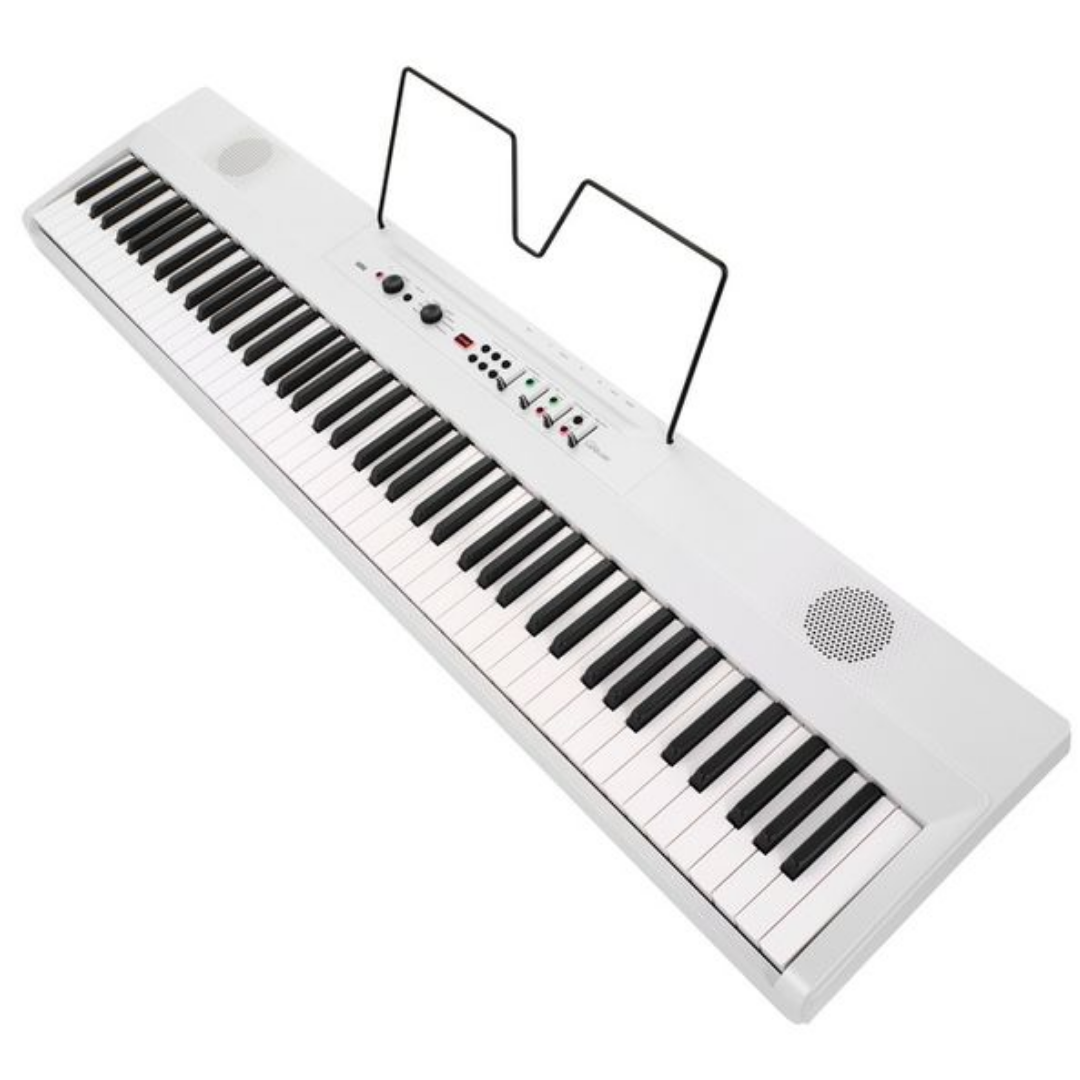 L1 LIVE korg (3)