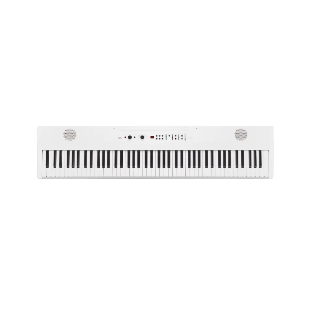L1 LIVE korg